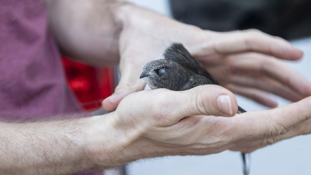 Nueva edición del Foro de Espiritualidad de la UPL: esta es la programación