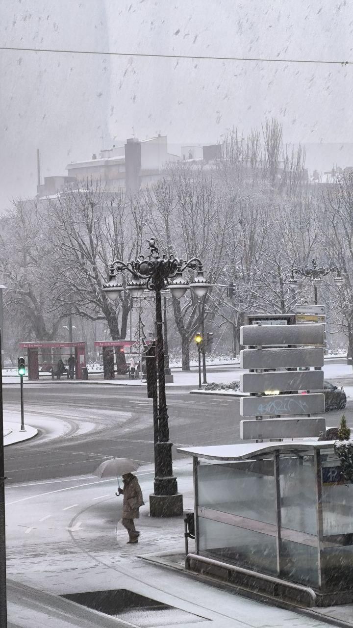 La nieve cuaja en la provincia de León: estampas blancas