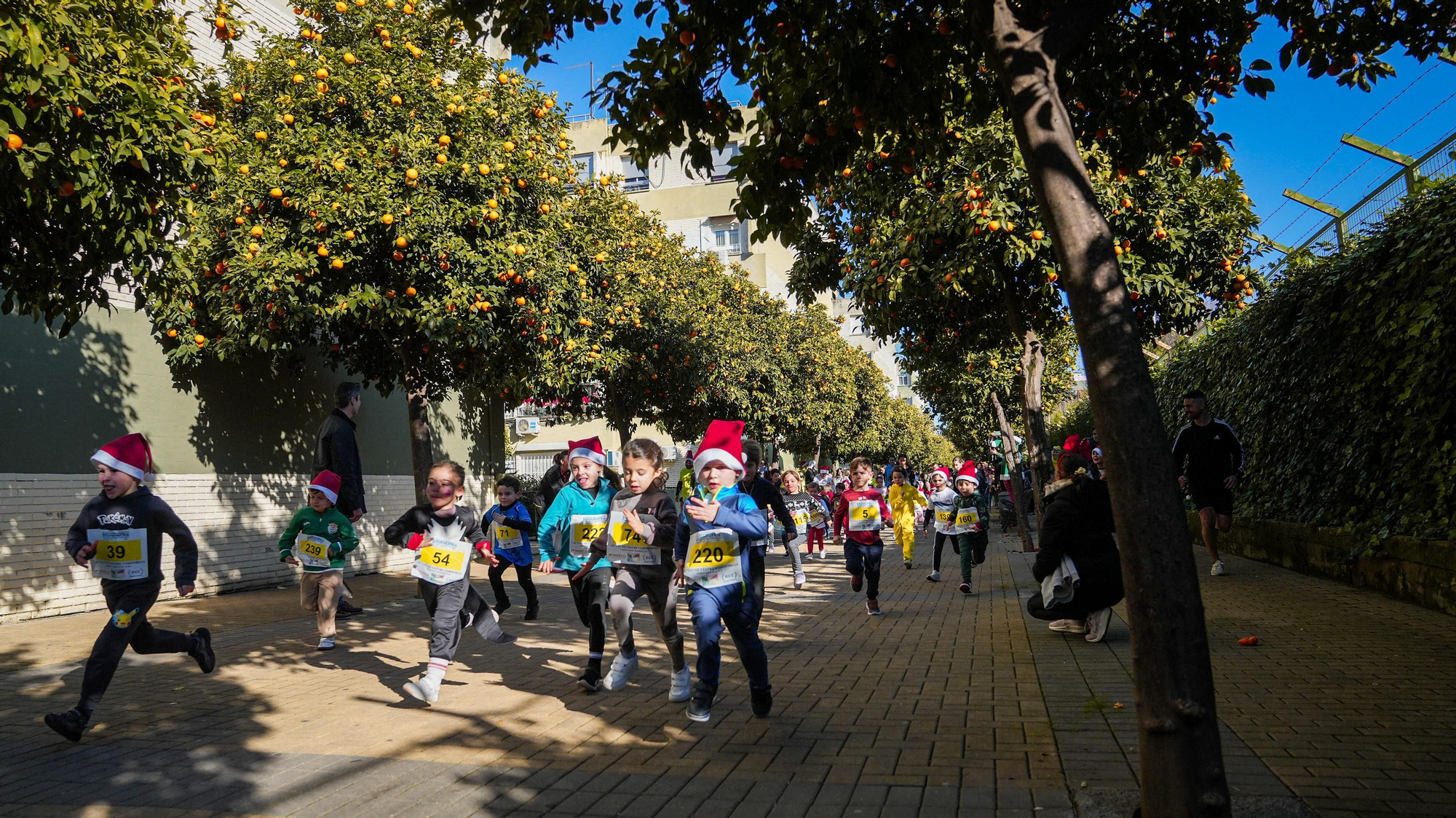 Carrera San Silvestre 2025