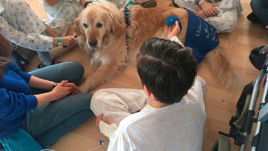 Reducir la angustia y mejorar la estancia de niños en el hospital gracias a perros adiestrados