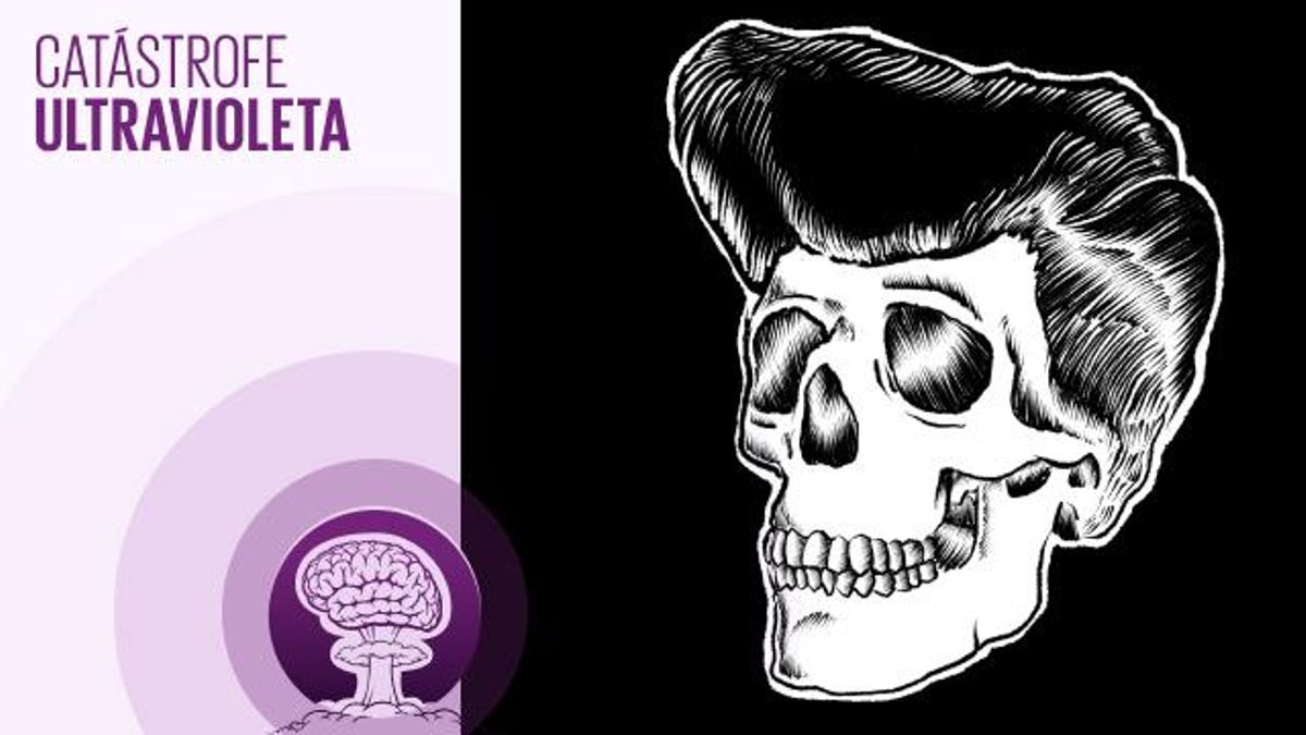 🎙 PODCAST | ¿Cómo conviven con la muerte en el mundo animal?