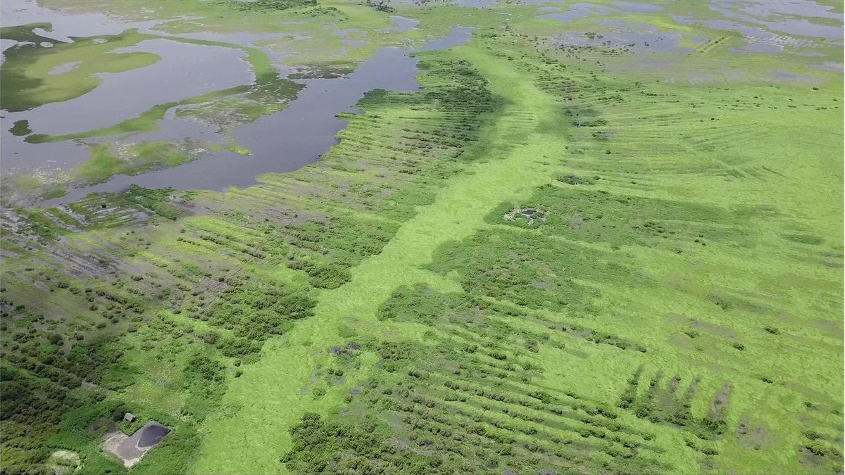 El gigantesco sistema hidráulico que protegió durante siglos a las comunidades prehispánicas de inundaciones y sequías