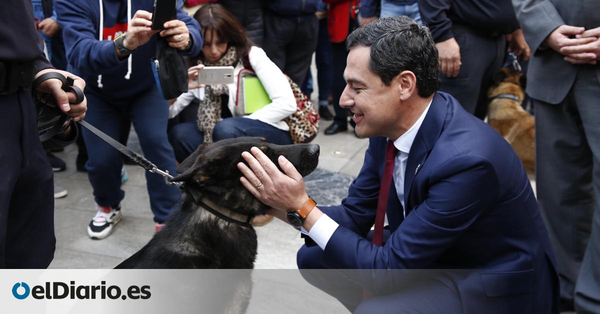 Andalucía lanza un sondeo en redes sobre sus rebajas fiscales sólo con respuestas positivas: “Soy un perruno/gatuno”