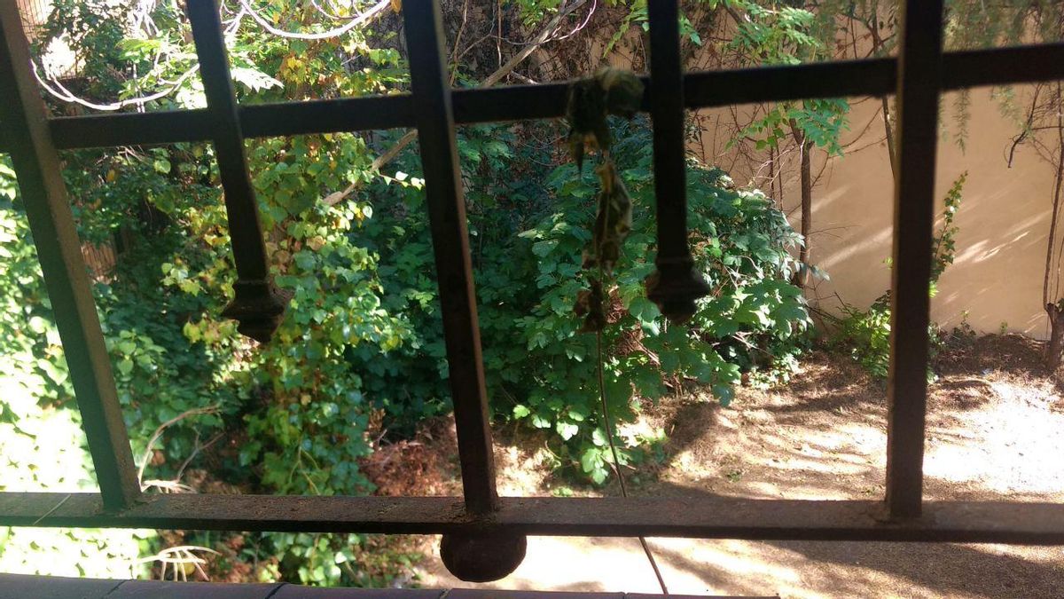 Visita a Velintonia - ventana