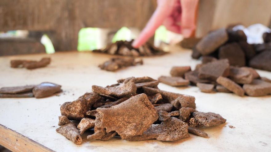 Huesos encontrados en el yacimiento en La Orotava