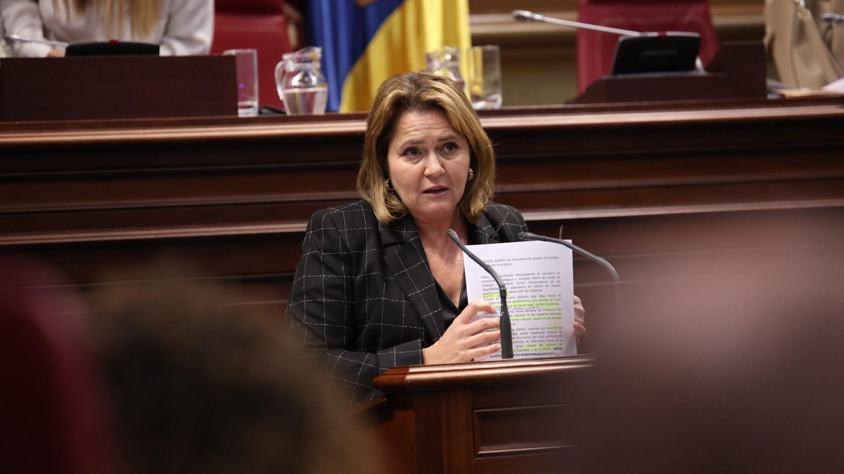Alicia Vanoostende, diputada del PSOE por La Palma en el Parlamento de Canarias.