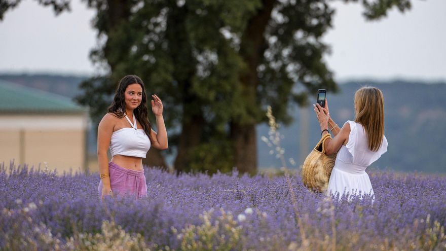 Un castillo, el museo de la lavanda y la muralla de Torija: los tres lugares de Guadalajara que no debes perderte en 2026