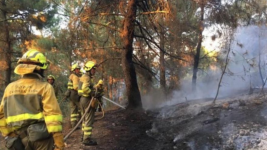 Empleándose a fondo en el incendio de Cepeda, en salamanca, / Foto @briftabuyo