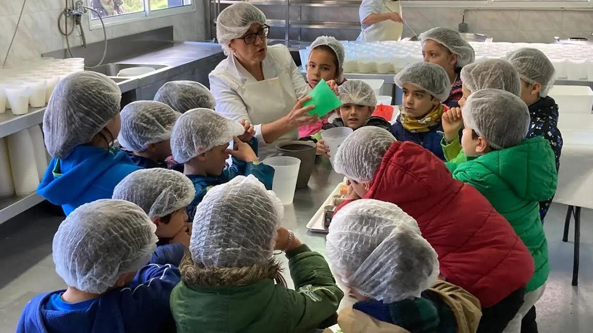 Elaborando el queisu, con Marta, quesera de Ca Sanchu.