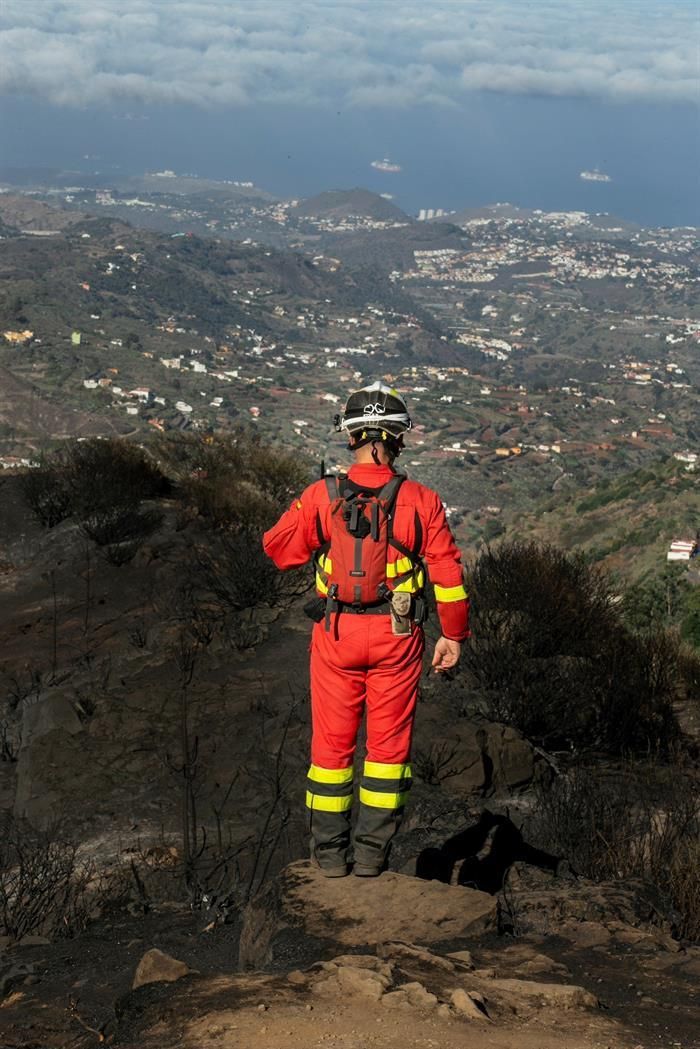 Un agente de la UME en el Cruce de las Pereras, en el municipio de Valleseco.