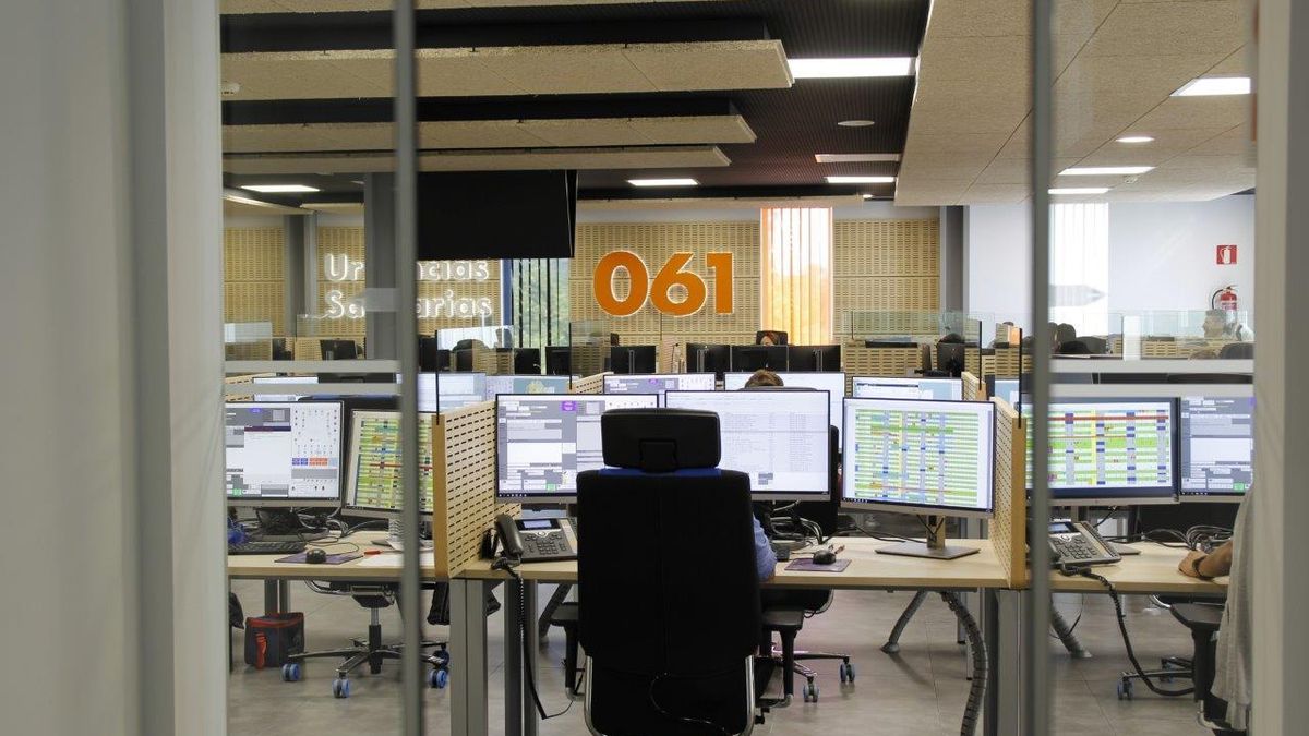 Un herido al caer un árbol sobre una furgoneta en una autovía en municipio pontevedrés de O Porriño