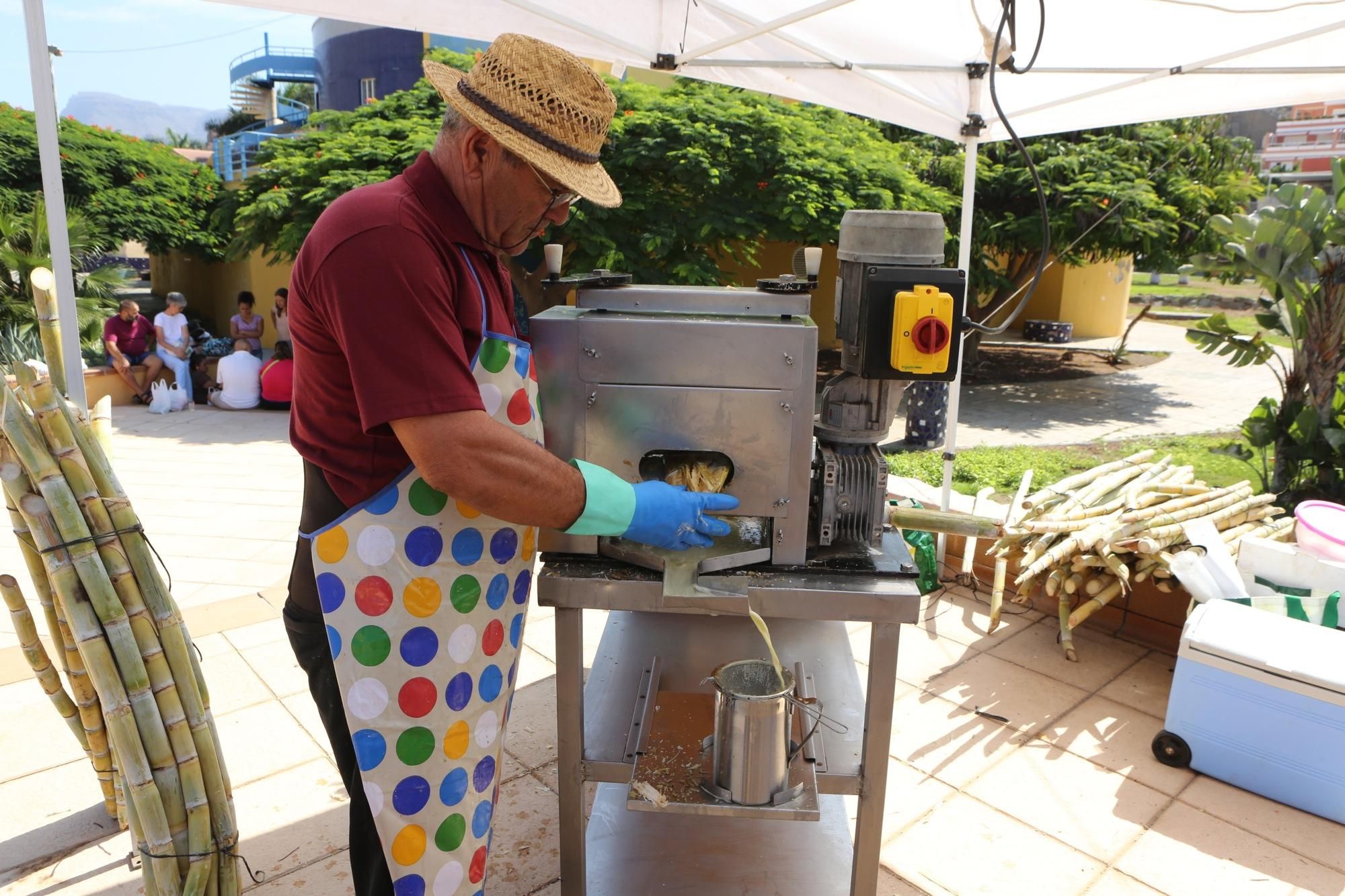 Feria del Mango y del Aguacate de Mogán (Alejandro Ramos)