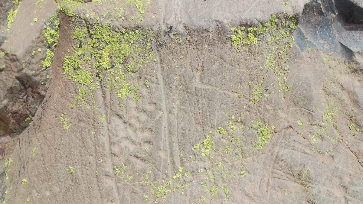 Nuevos destrozos en grabados guanches en Teno catalogados por el Cabildo de Tenerife