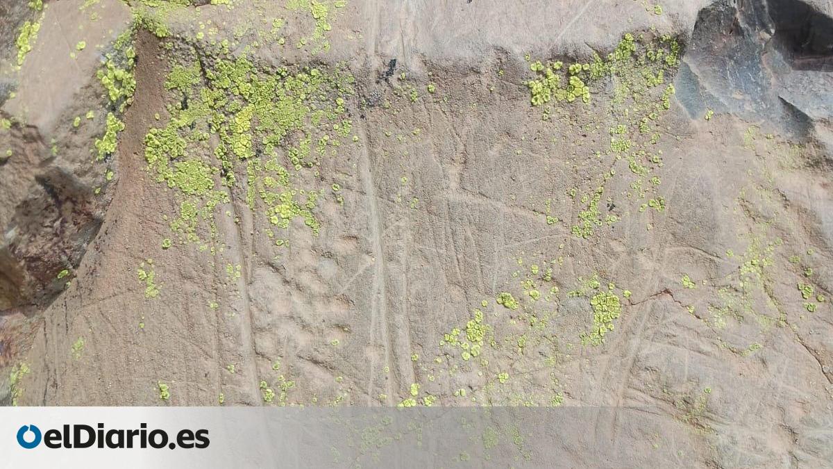 Nuevos destrozos en grabados guanches en Teno catalogados por el Cabildo de Tenerife