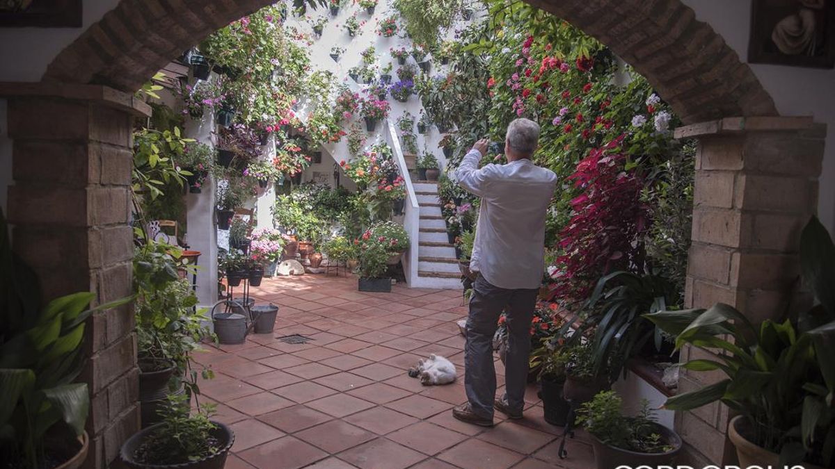 Patio de arquitectura moderna en la calle Duartas, 2