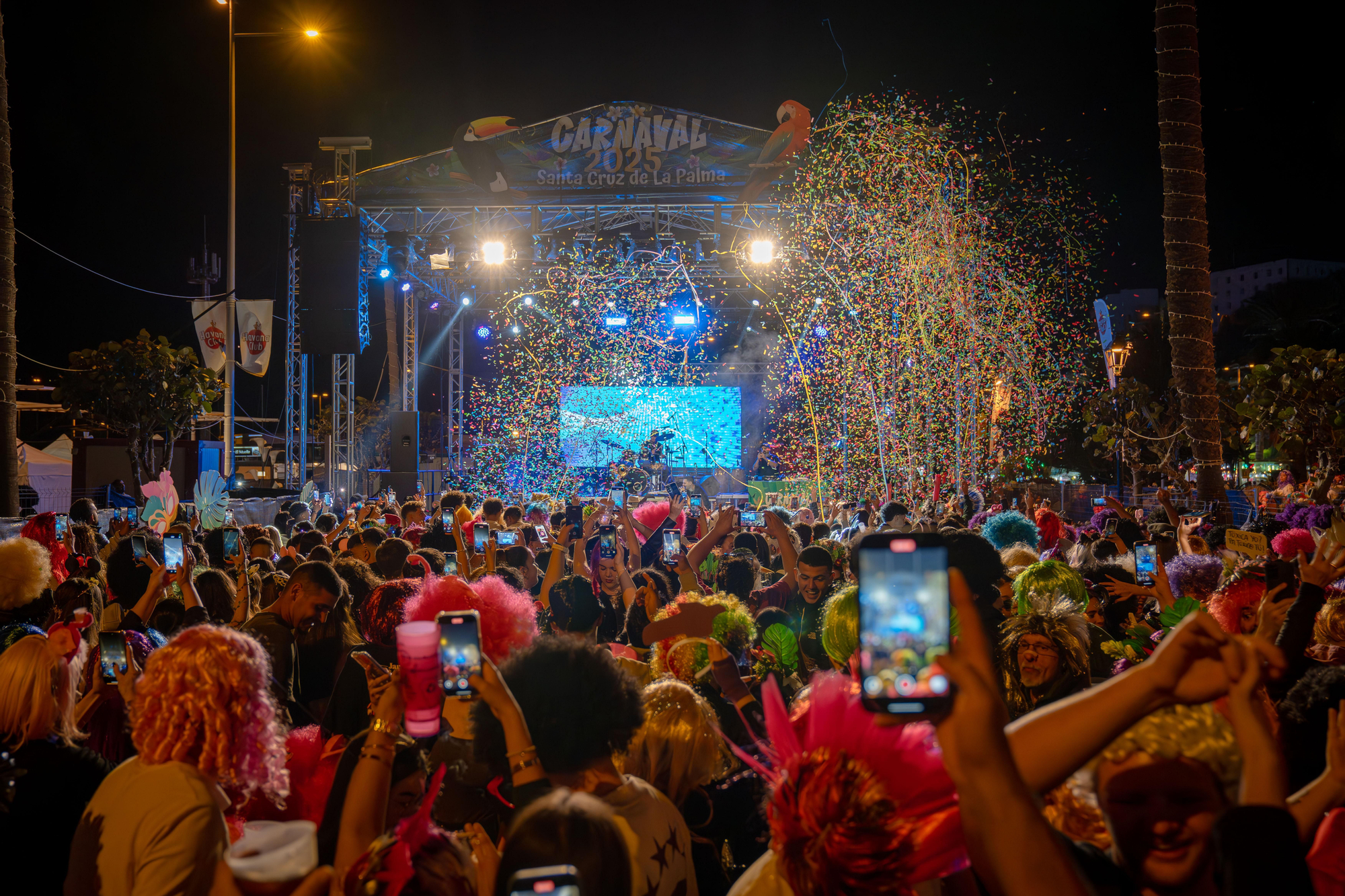 Fiesta de la  Peluca 2025 en Santa Cruz de La Palma.