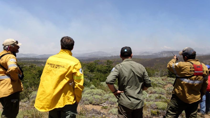 Más de 3.000 hectáreas de bosque arrasadas por incendio forestal en Neuquén