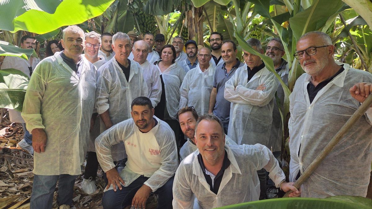 El sector platanero de La Palma conoce en Tenerife nuevas técnicas sostenibles de control de plagas