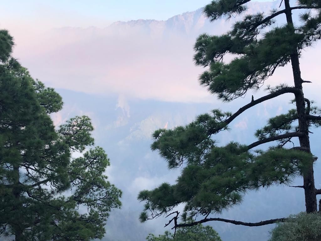 El incendio, en la imagen, ha entrado en el Parque Nacional de La Caldera de Taburiente.