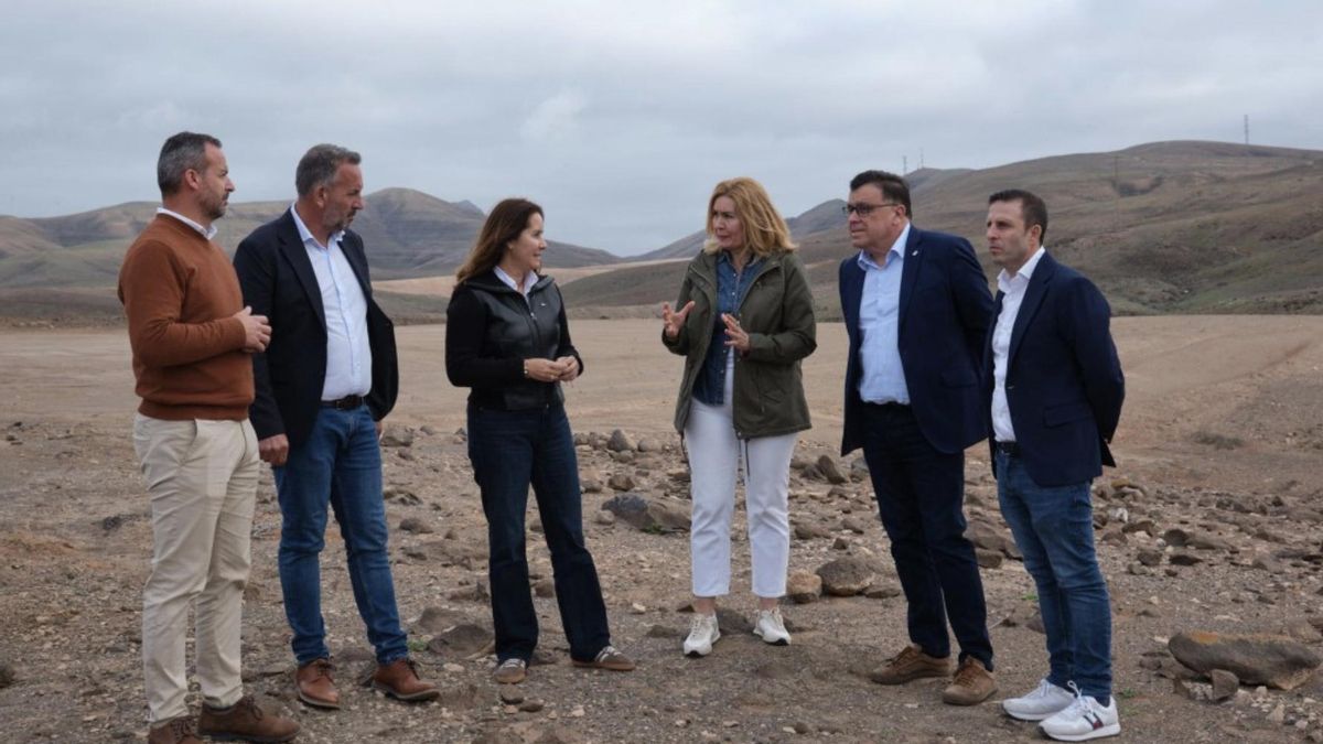 El Gobierno canario dice que buscar qué empresas se han librado de pagar multas medioambientales paralizaría su gestión