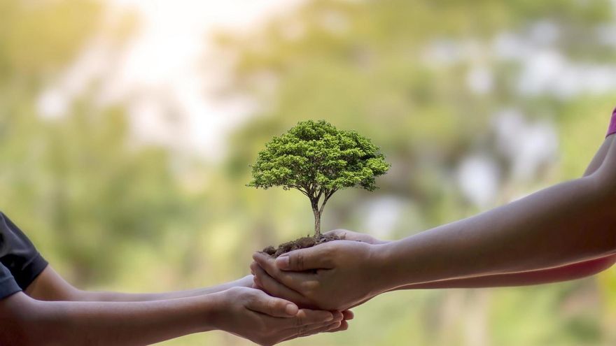 Día Mundial de Protección de la Naturaleza: ¿por qué se celebra cada 18 de octubre?