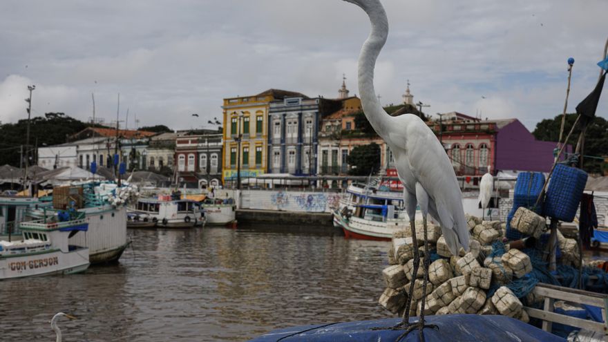 Belém corre para terminar las obras antes de la COP: “La ciudad es un caos”