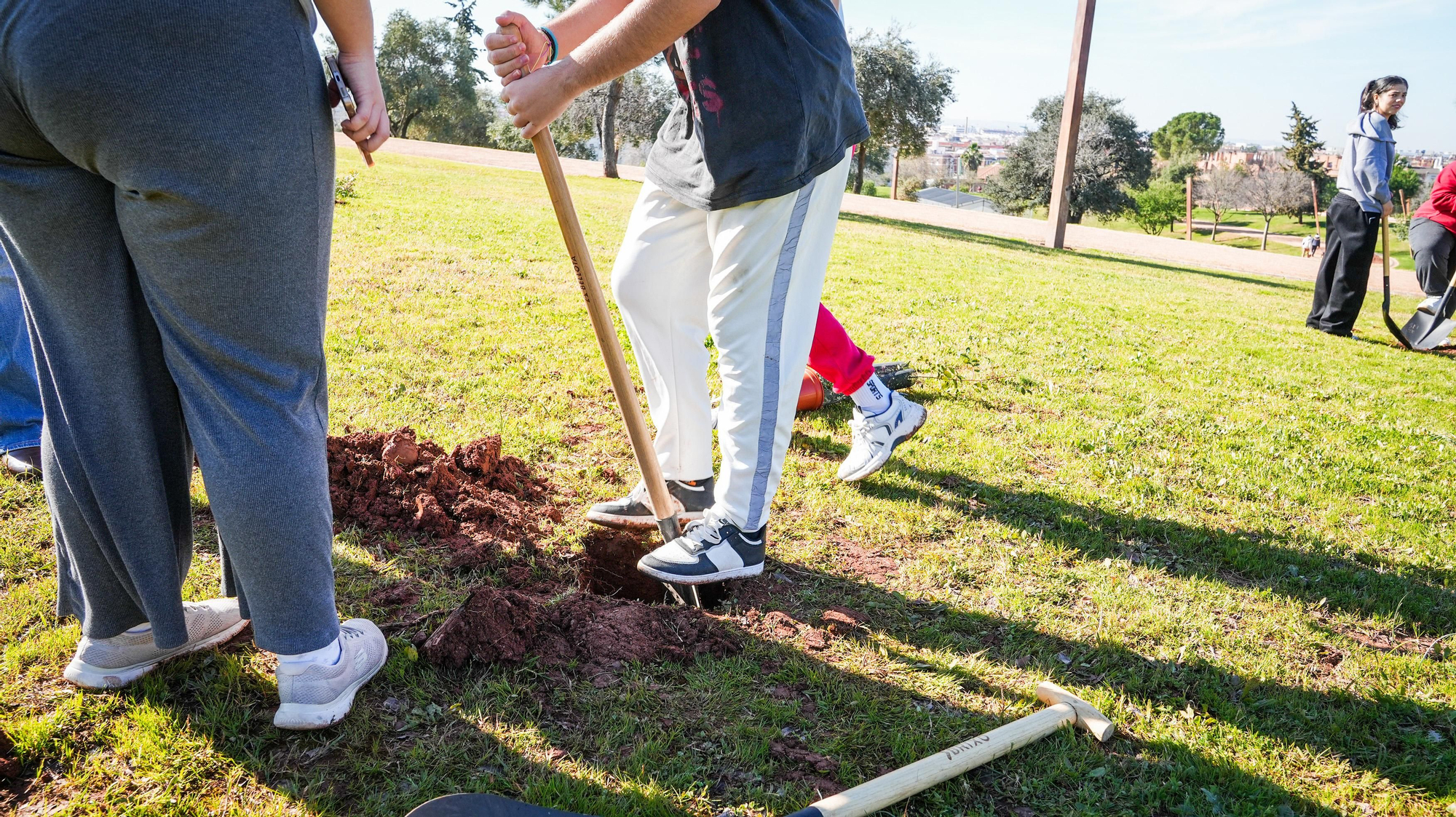 Primera plantación de EnArbolando Córdoba en La Asomadilla