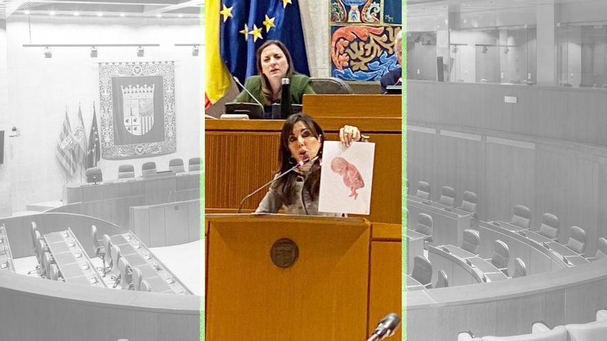 Marta Fernández, de Vox, enseña la foto de un feto en las Cortes de Aragón