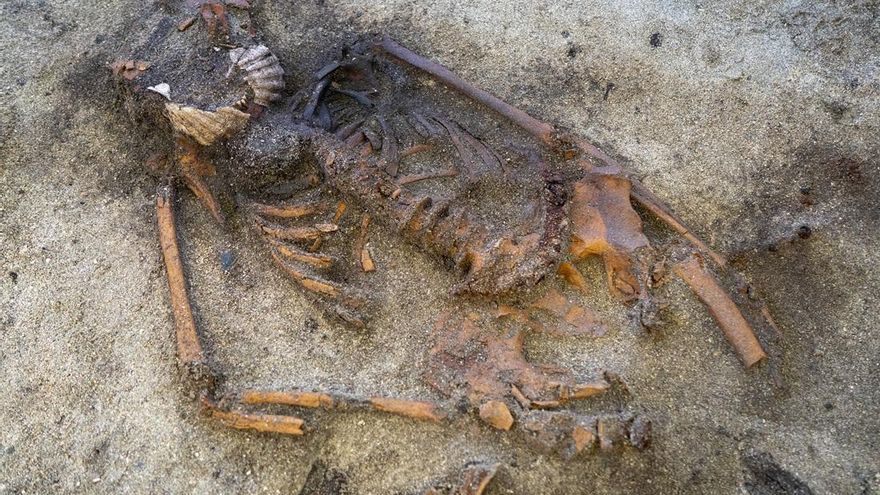 La extraña tumba que desconcierta a los científicos: una mujer vikinga con conchas de vieira y aves alrededor