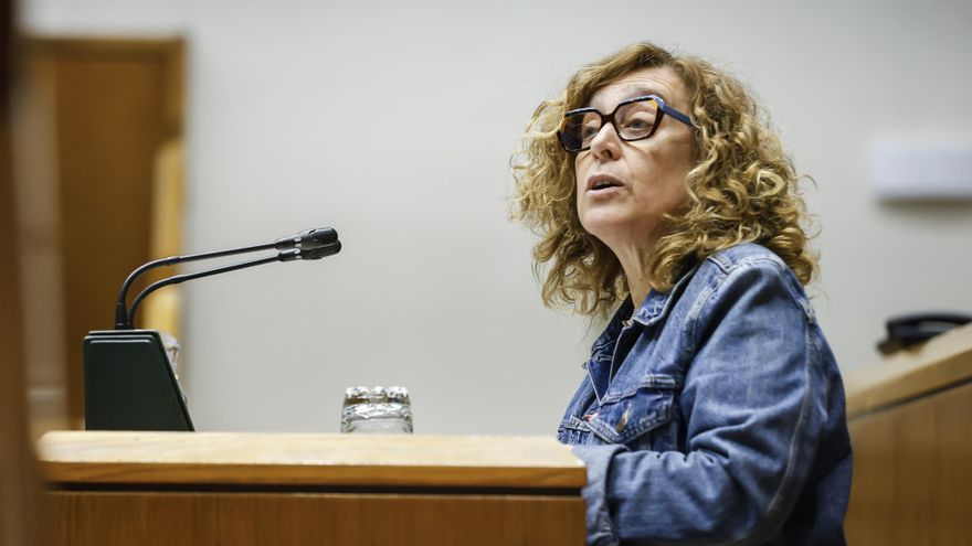 El Gobierno vasco insiste en que la nueva línea de Cercanías de Álava estará operativa "en primavera"