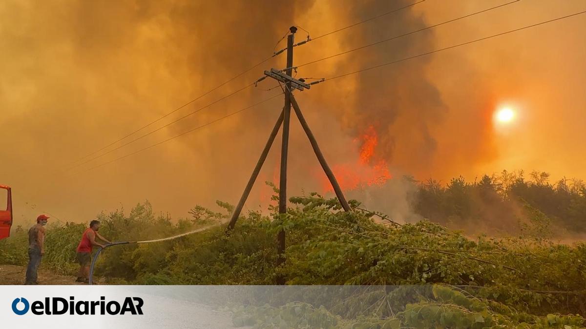 El fuego avanza en la Patagonia y ya consumió 28.100 hectáreas ...