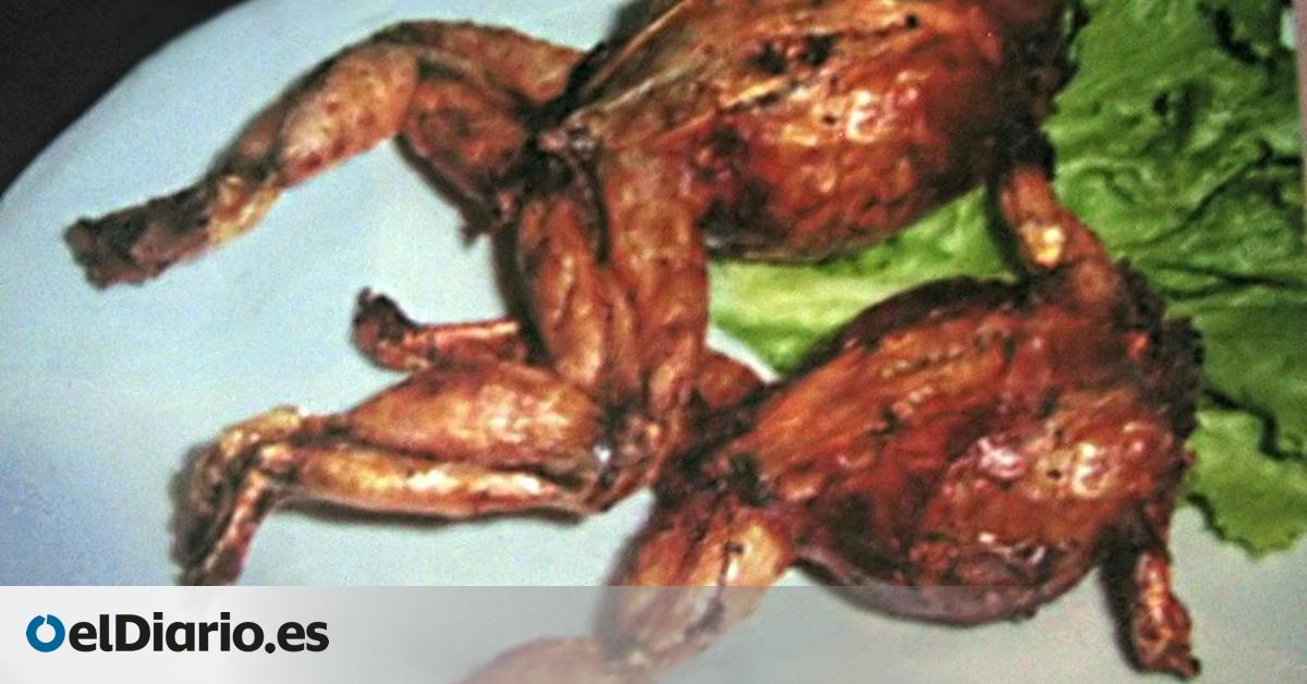 Uno de los manjares más odiados -pero versátiles- de la gastronomía española