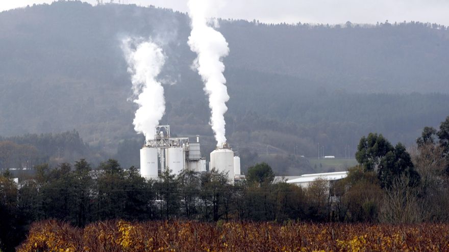 Grupo VELUX se alía con WWF para ser neutral en carbono de por vida en 2041