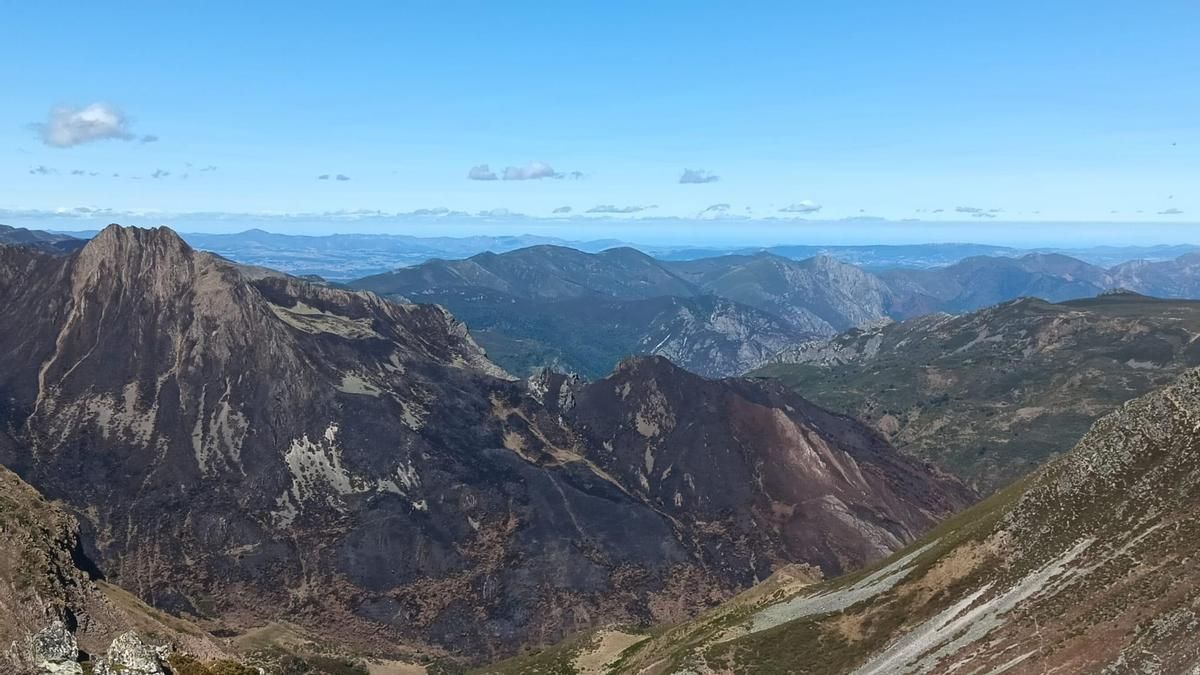 Una zona afectada por el fuego en la provincia de León.