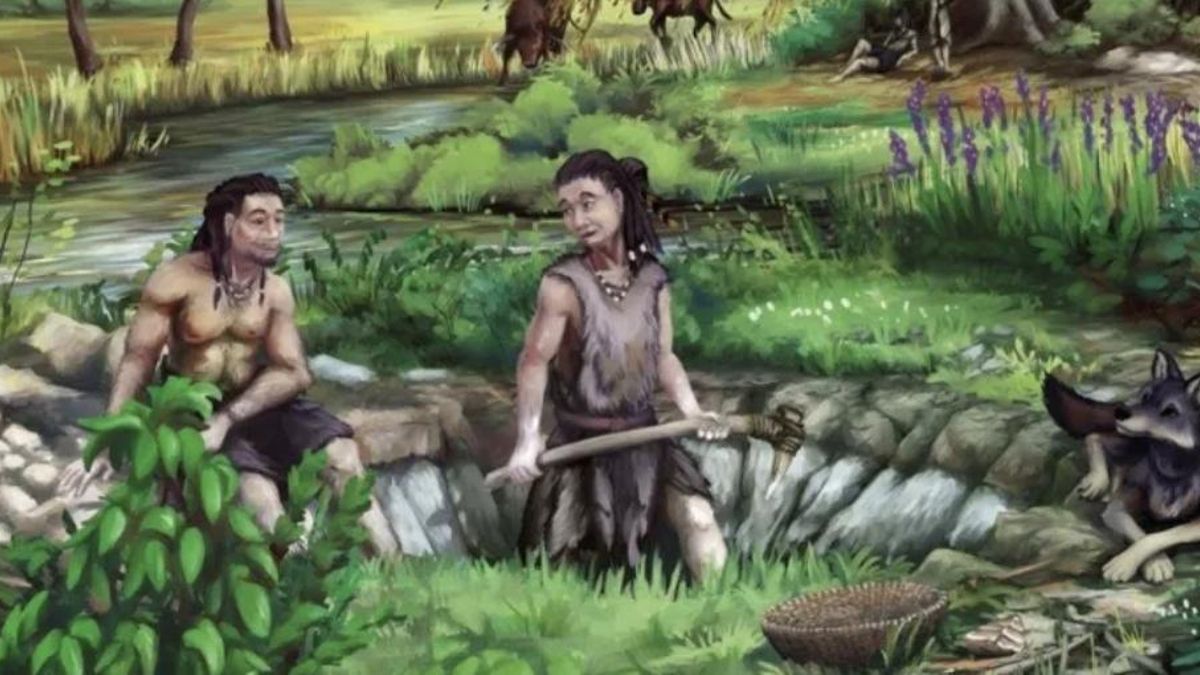 A construção das cavas demonstra uma organização complexa e sistemática.