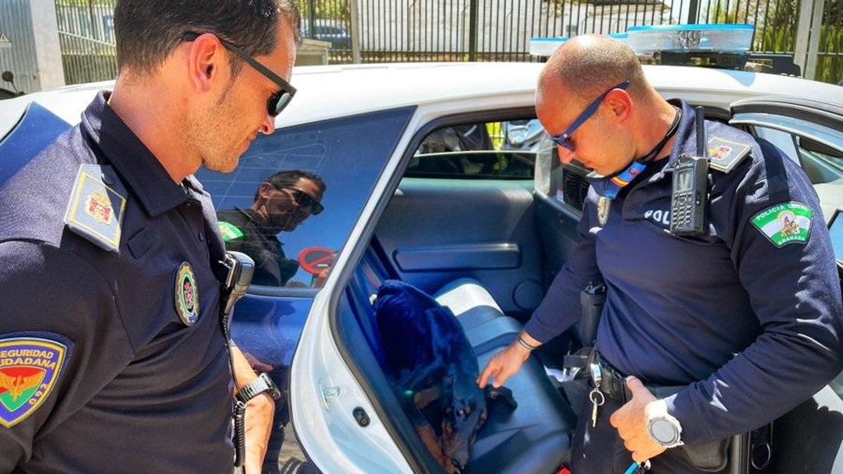 Agentes de Policía Local encargados del traslado de un perro hallado desnutrido