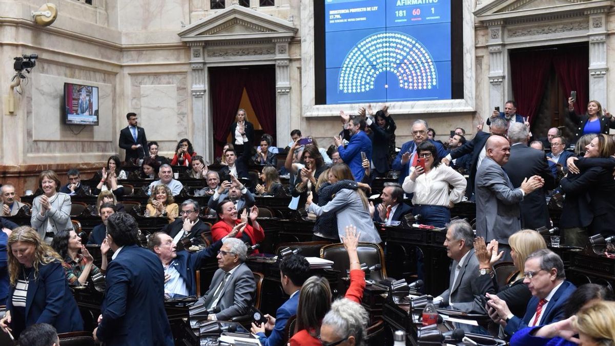 Los festejos de la bancada peronista cuando se aprobó la insistencia de la emergencia pediátrica