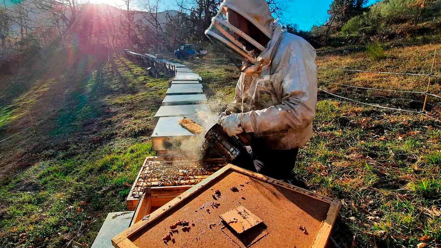 Apicultor de la actividad 'La experiencia de las abejas', en Fuente Dé