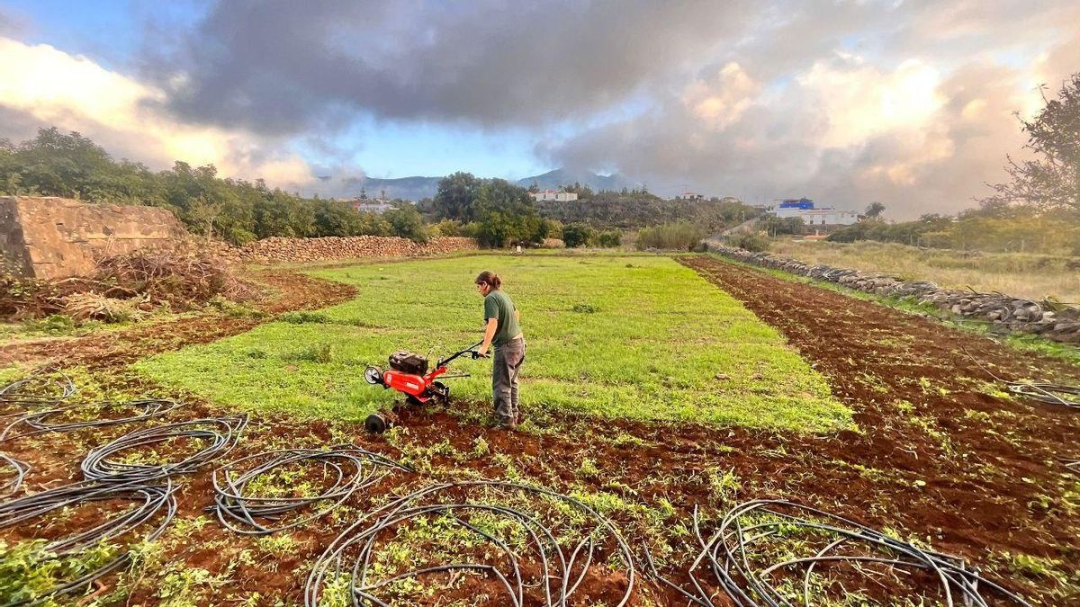 Una agricultora de La Palma.