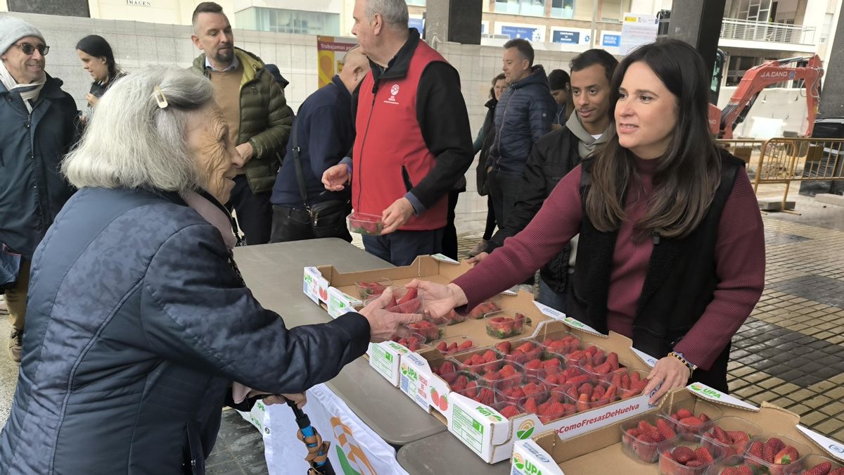 La fresa de Huelva, en busca del consumidor tras el embate del temporal: "En dos meses, hemos tirado la mitad"