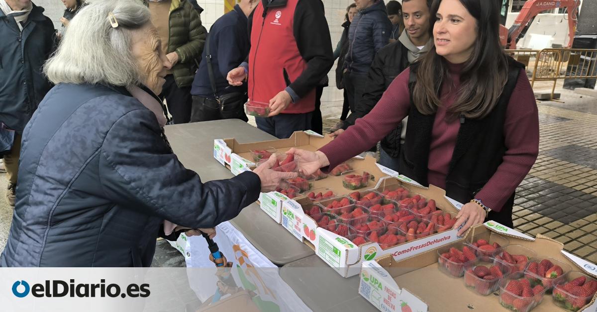 La fresa de Huelva, en busca del consumidor tras el embate del temporal:  En dos meses, hemos tirado la mitad 
