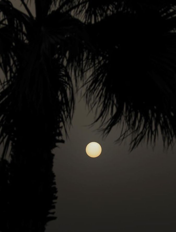 Baja visibilidad en Las Palmas de Gran Canaria por la calima, este lunes