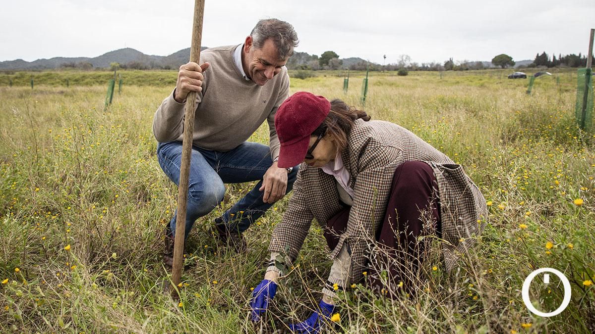 El bosque de Silbon se hace un poco más grande