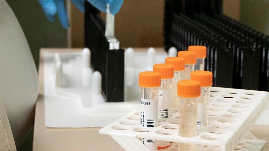 Se elevan a 44 los casos de viruela del mono en Castilla-La Mancha, tras sumar seis en la última semana