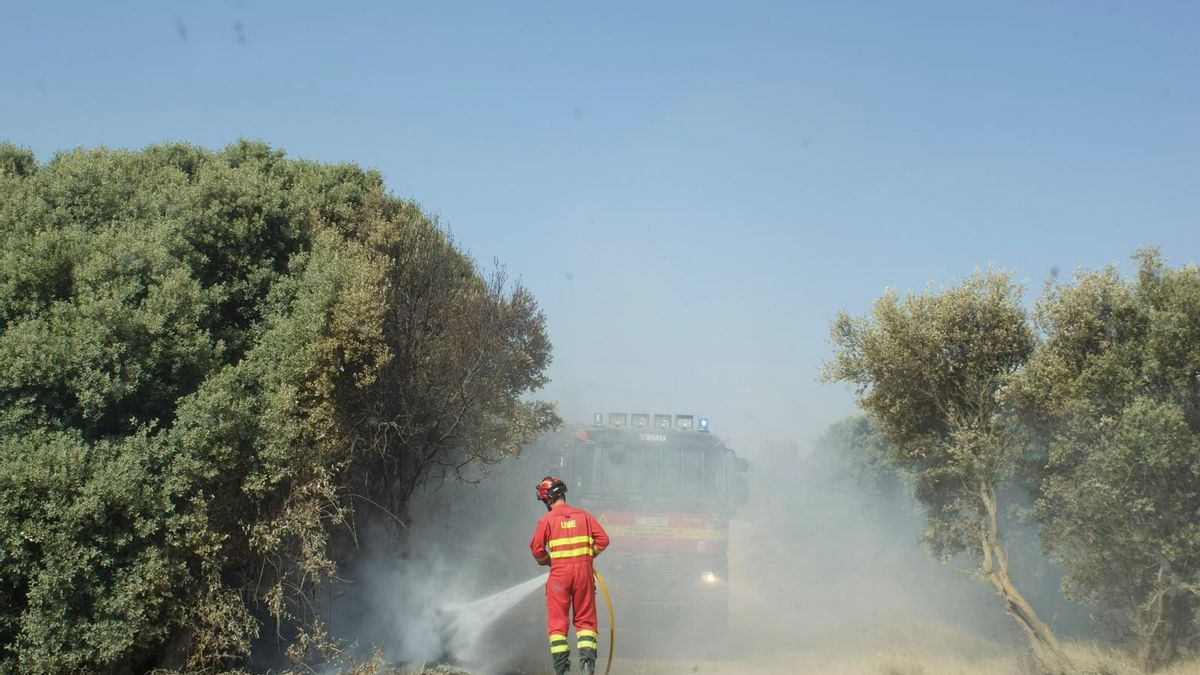 Efectivos de la UME en el incendio en las Cinco Villas
