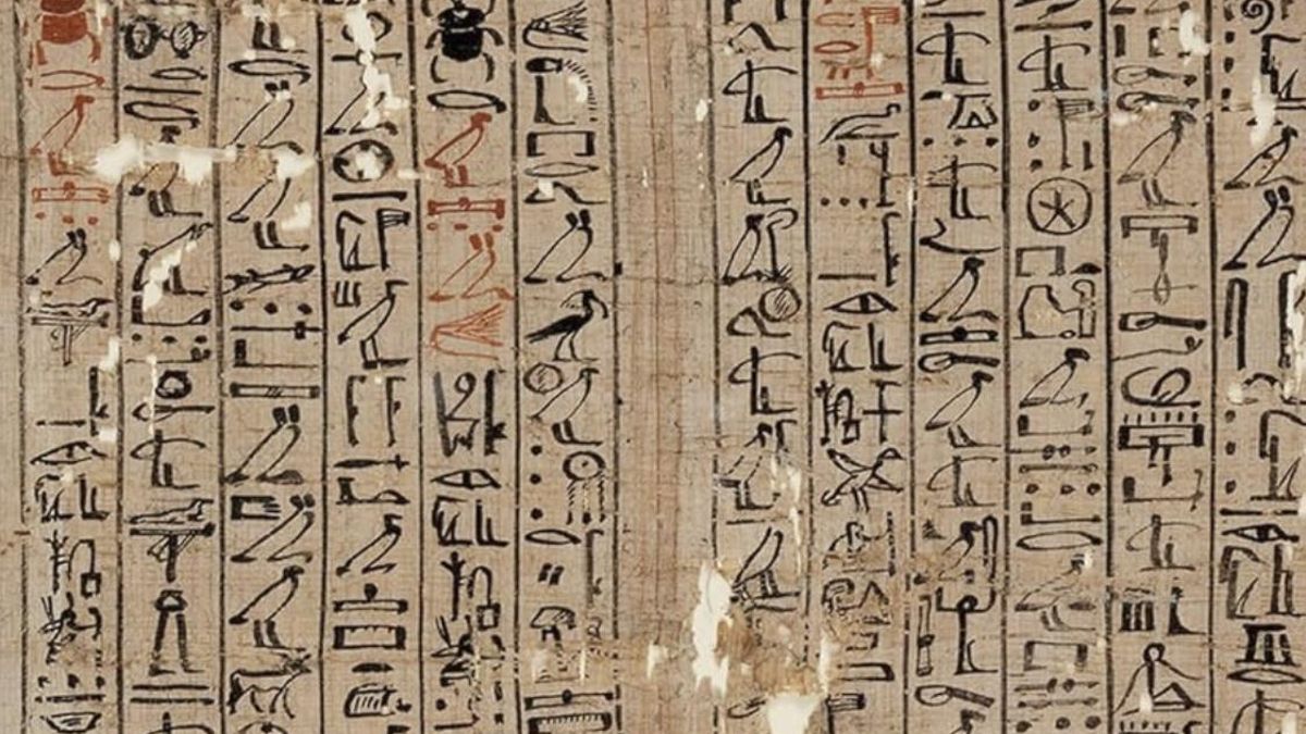 Karl Richard Lepsius tituló Todtenbuch a una edición publicada en Alemania y Henri Édouard Naville amplió después el repertorio con 77 papiros