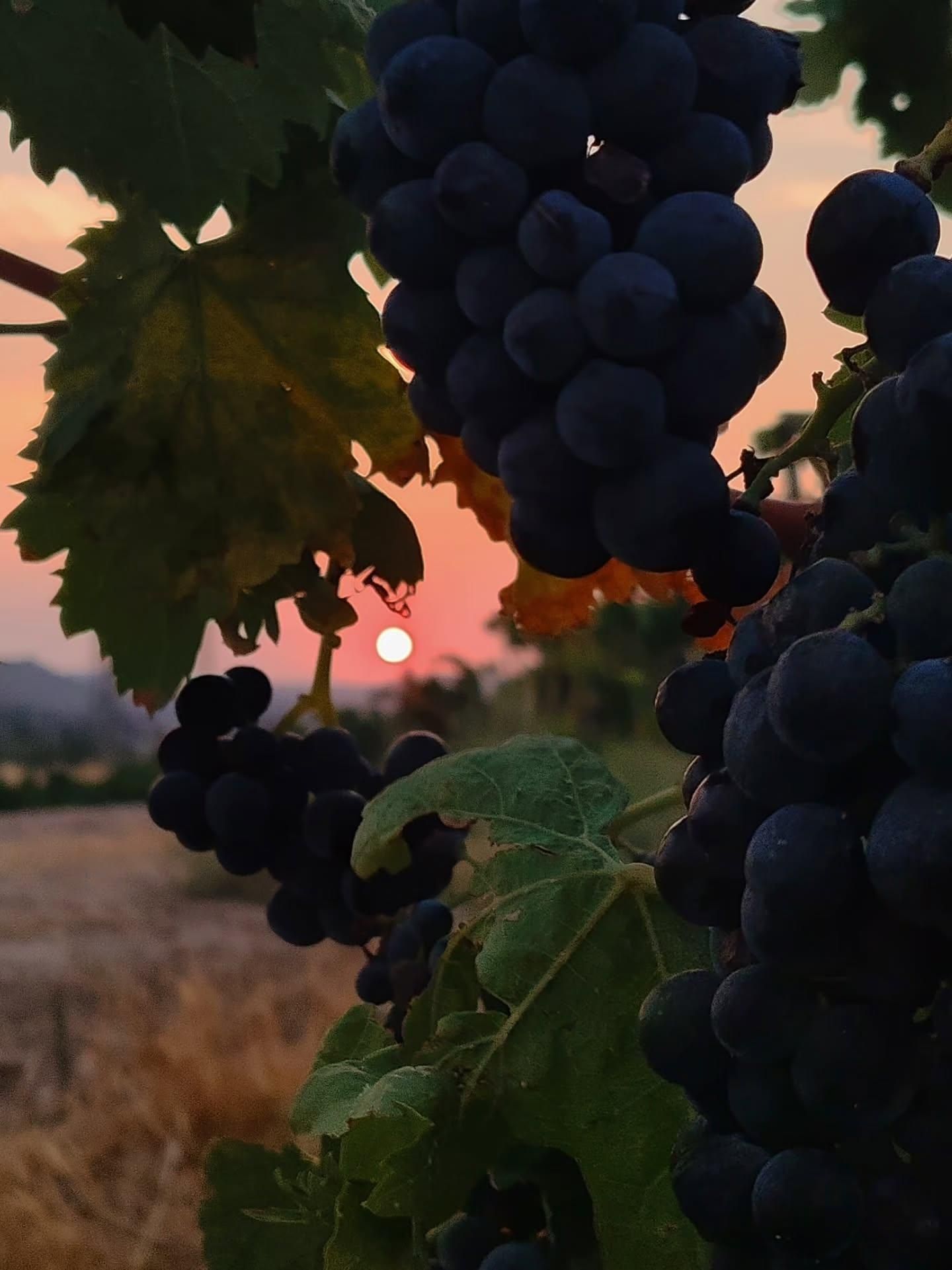 Todas las fotos del concurso 'Disfruta La Rioja' (Parte 2)