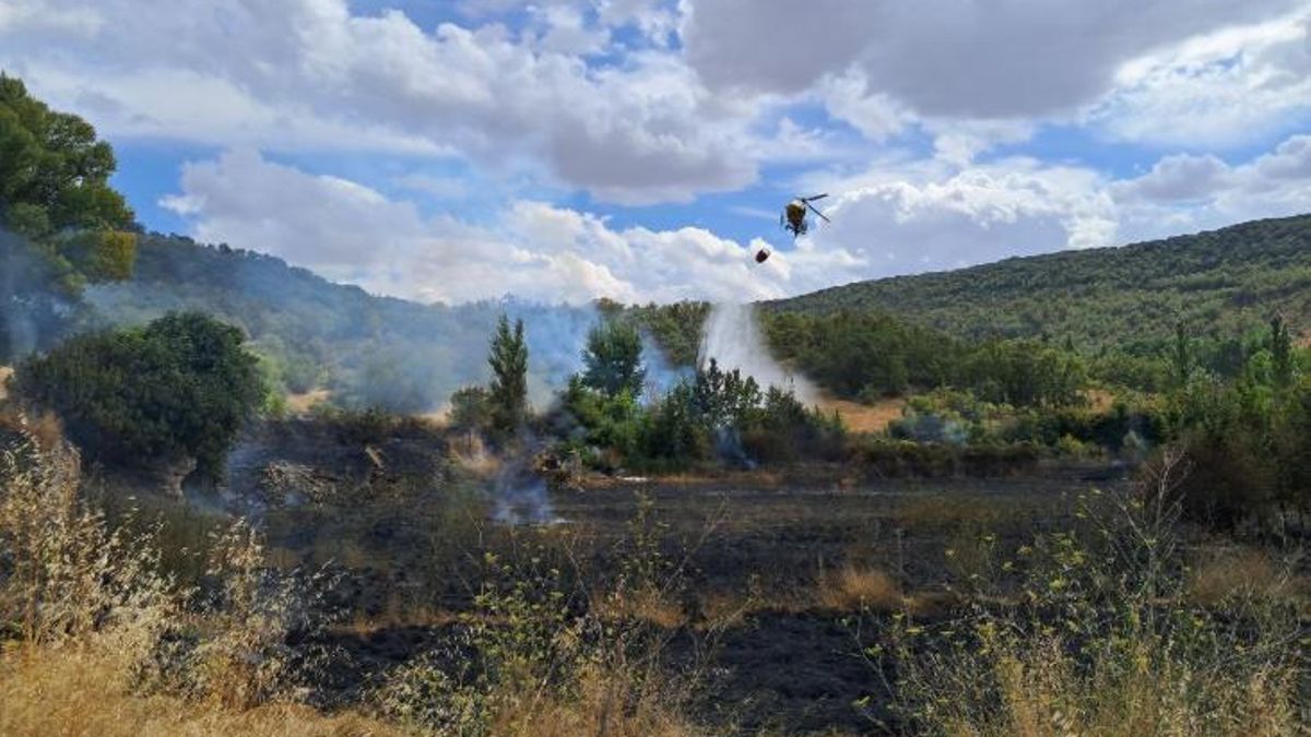 Carmen Vázquez, geógrafa: “Se ningunea el conocimiento de quienes viven en territorios afectados por incendios”
