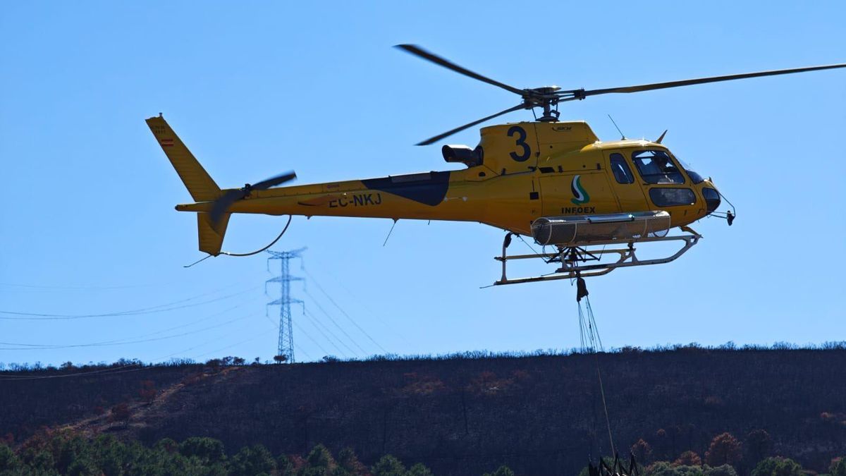 Activado el nivel 1 en un incendio forestal en Campanario por la cercanía a naves ganaderas