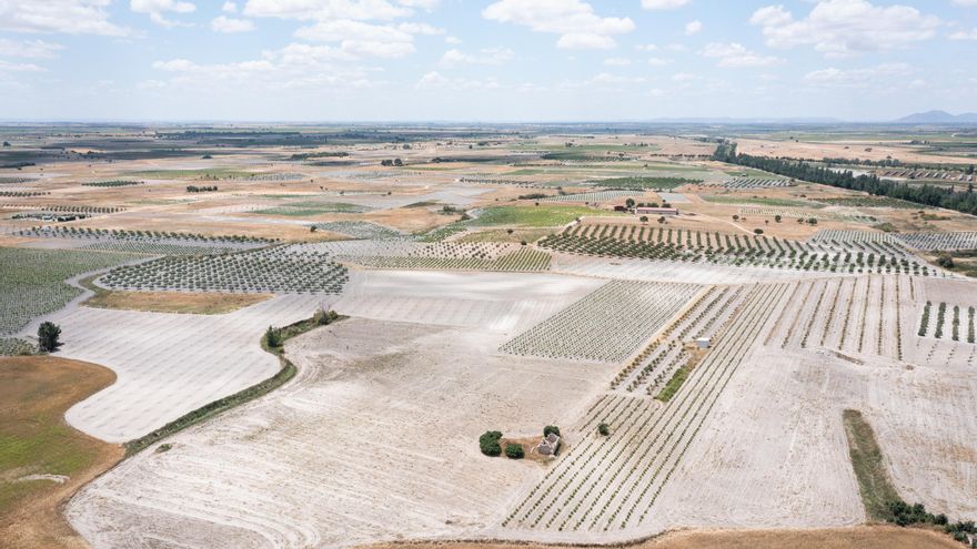 Campos de cultivo en el entorno de Daimiel / J.L. Regalado